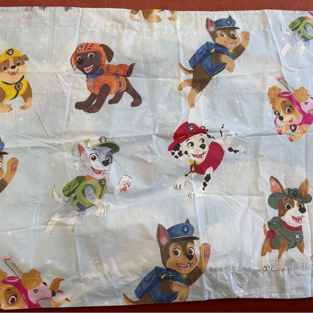 Pottery Barn Kids Paw Patrol Blue and Brown Duvet Set F/Q